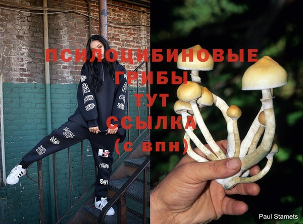 мяу мяу мука Кодинск
