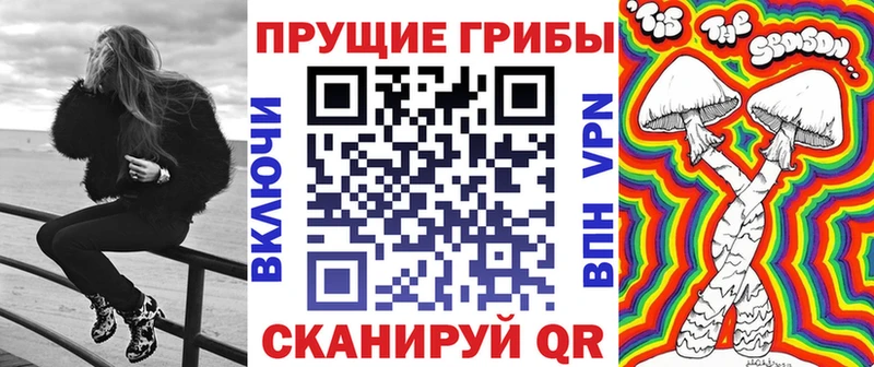 Купить закладки  Великий Устюг  Псилоцибиновые грибы GOLDEN TEACHER 