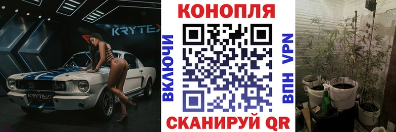 Купить где  Великий Устюг  Канабис AK-47 